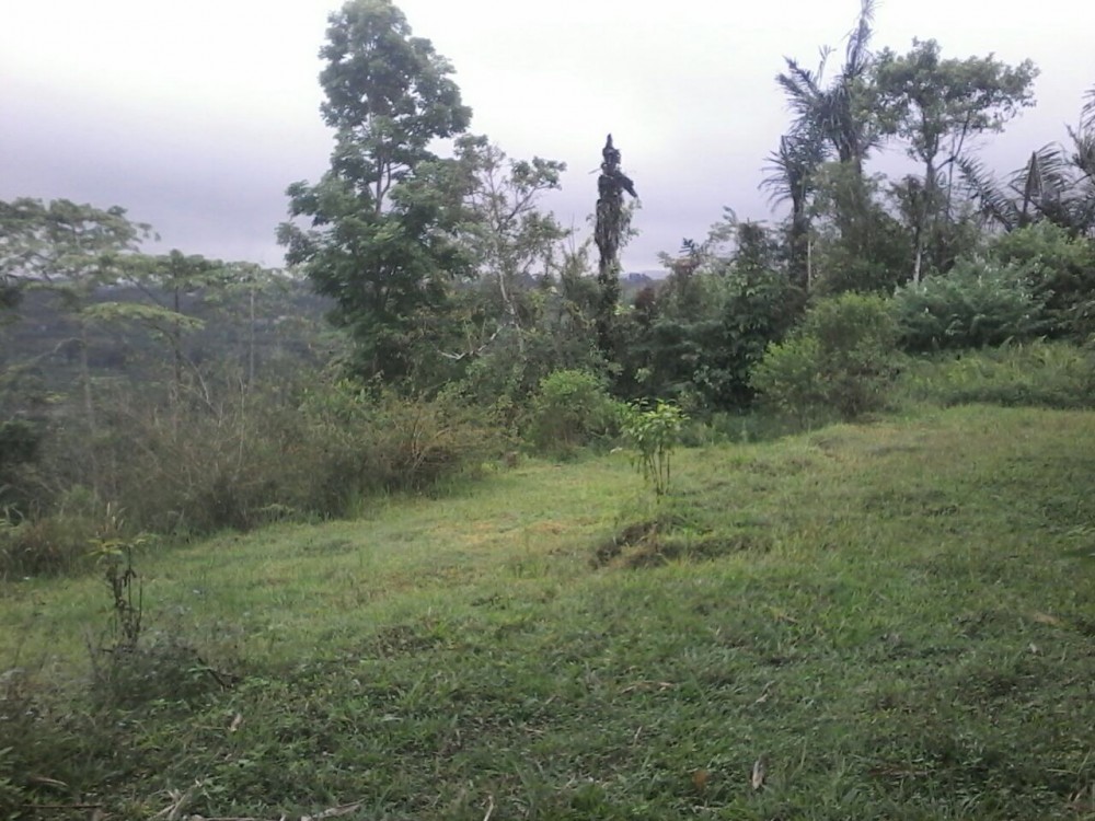 BELLE TERRAIN À VENDRE À KINTAMANI REGENCY