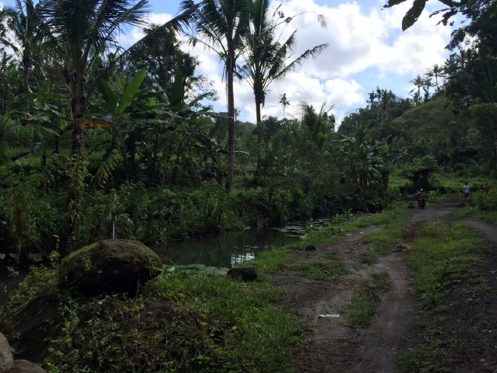 BELLE TERRAIN À VENDRE EN FACE DE LA RIVIÈRE AYUNG UBUD