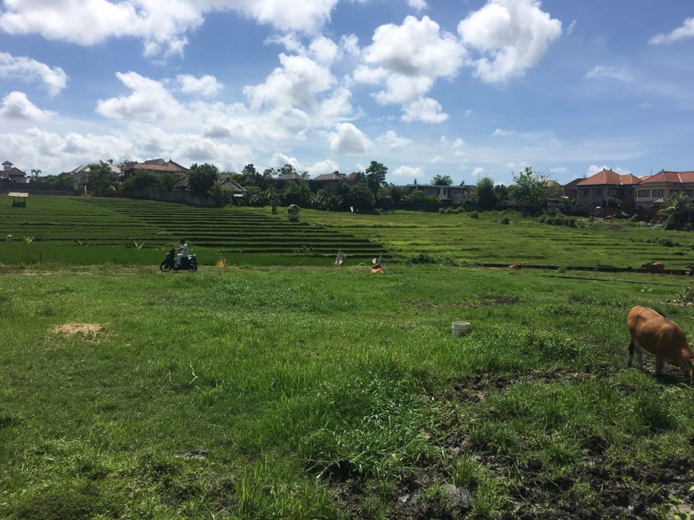 Prime location land for sale in Umalas