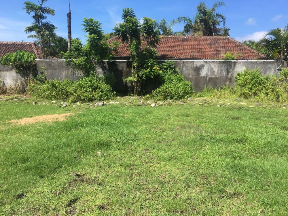 Prime location land for sale in Umalas