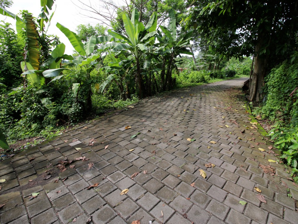 Tanah pinggir sungai dengan pemandangan sawah