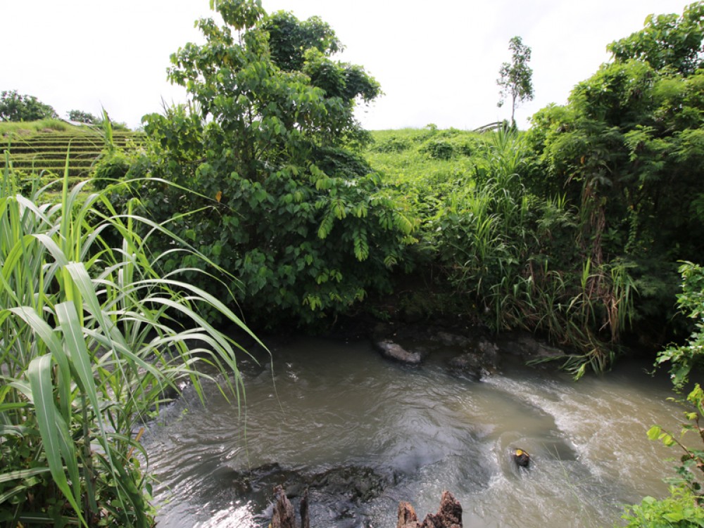 Riverside land with rice paddies view