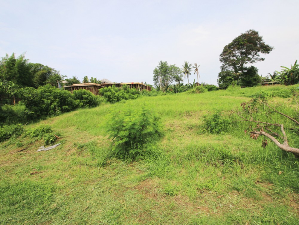 Riverside land with rice paddies view