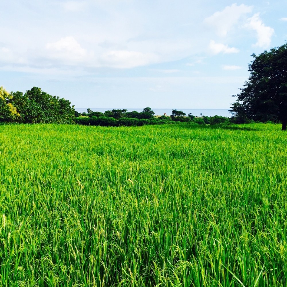 Sumbawa Lakey Peak 1300 Are Plot Freehold Kibarer Property