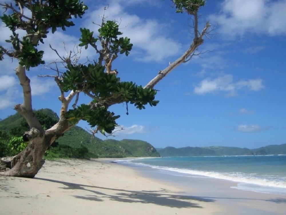 4,47Ha of Magnificent Beachfront land for sale in Lombok