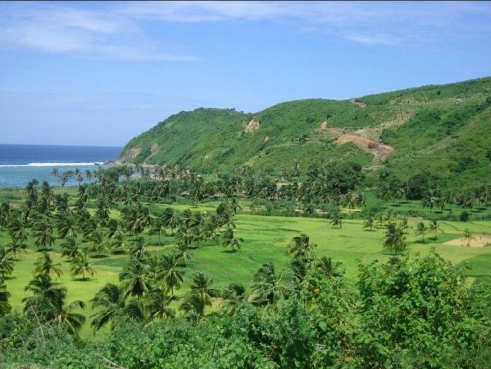 4,47Ha Tanah Megah Dijual di Lombok