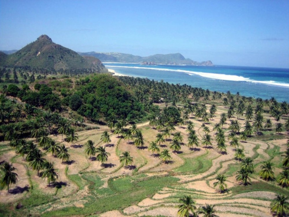 4.47Ha de Magnifique terrain en bord de mer à vendre à Lombok