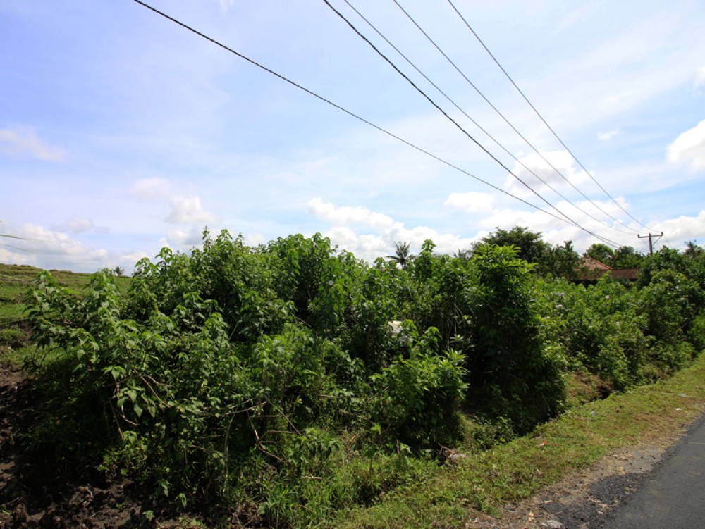 Great investment residential land