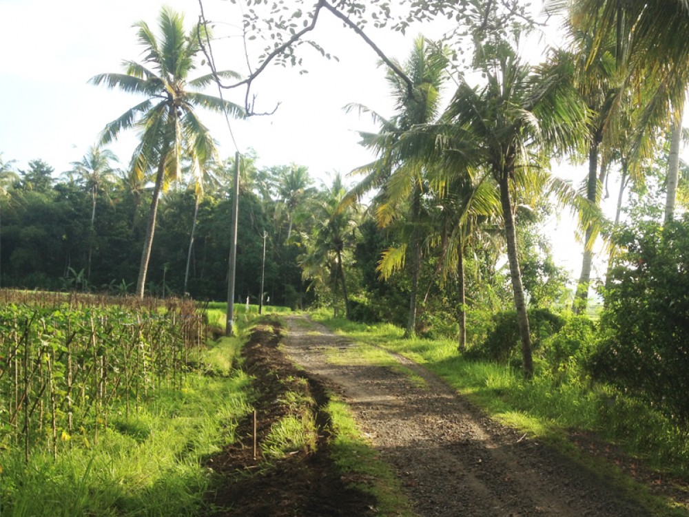 Terres en propriété franche à Tabanan