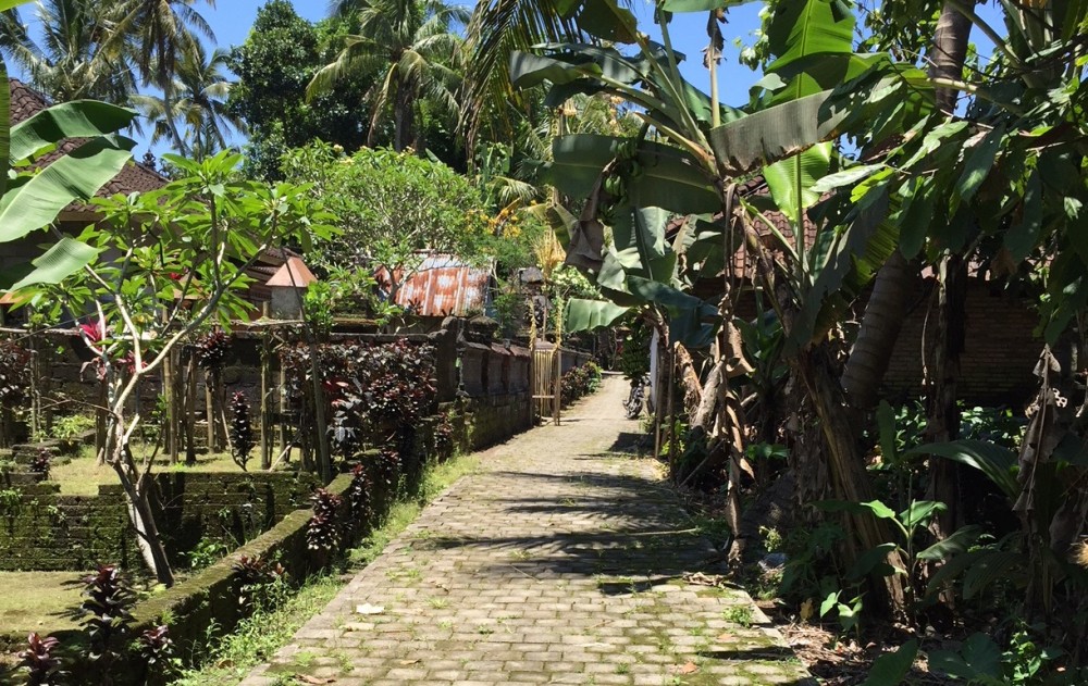 NICE VIEW TANAH DIJUAL DI KEDISAN TEGALALANG