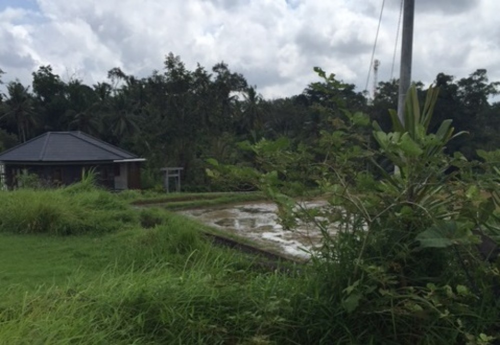 Amazing land for lease 25 years in Tegalalang 