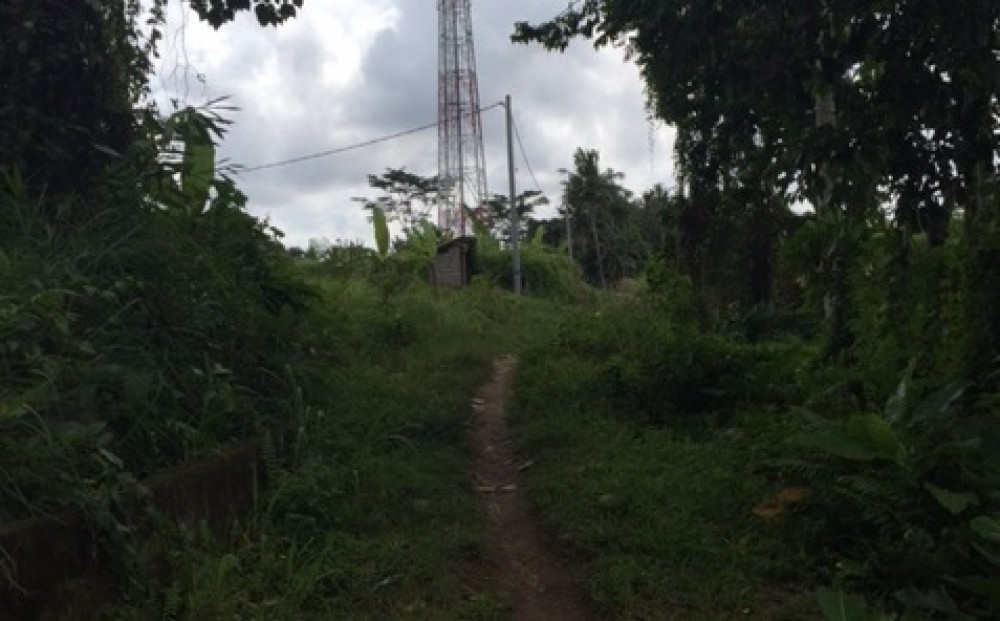 Tanahnya bagus dengan pemandangan hutan dan pepohonan di Pejeng Tampaksiring
