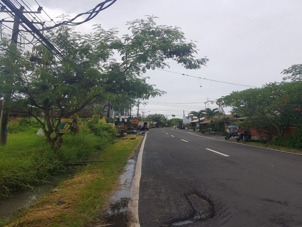 Tanah Langka 14 Are di Canggu untuk Dijual Leasehold