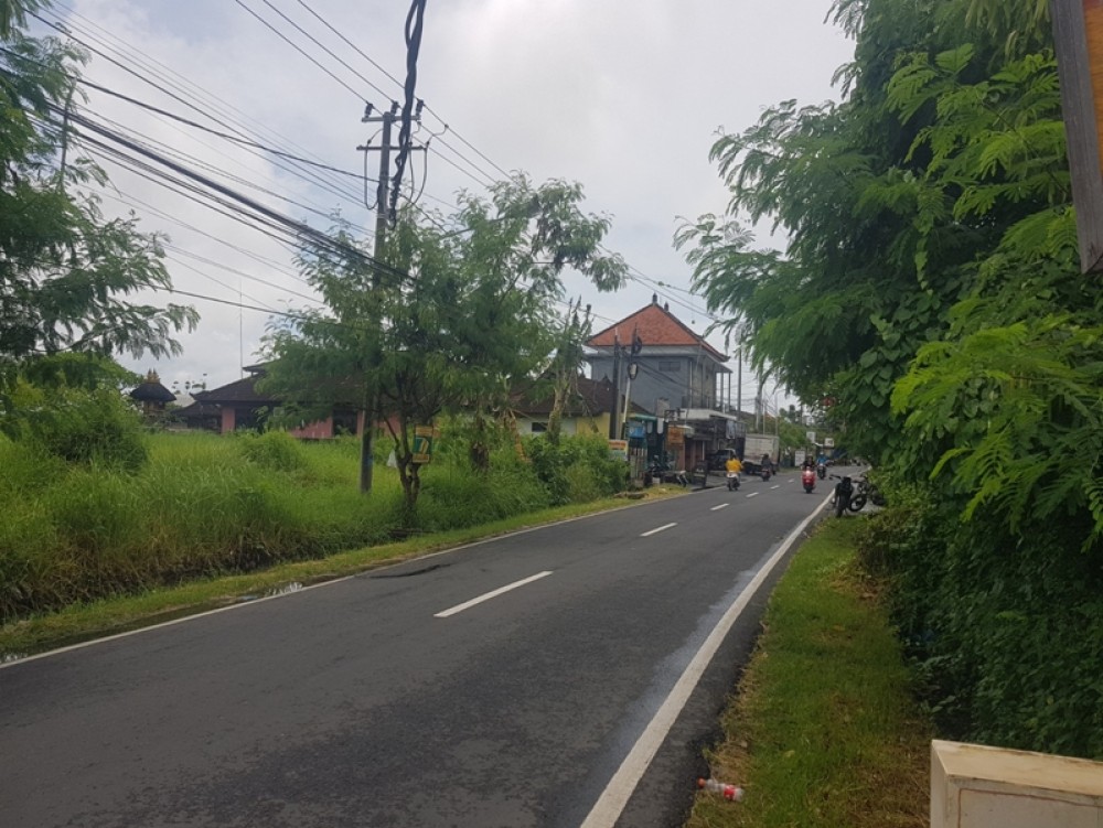 Tanah Langka 14 Are di Canggu untuk Dijual Leasehold