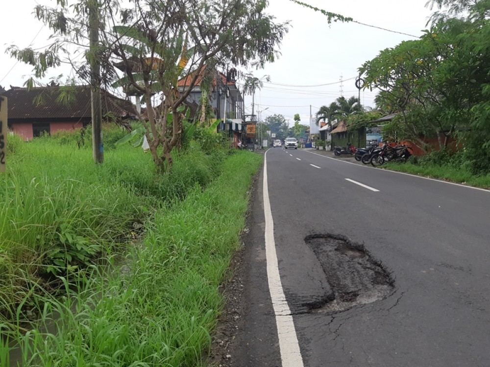 Tanah Langka 14 Are di Canggu untuk Dijual Leasehold