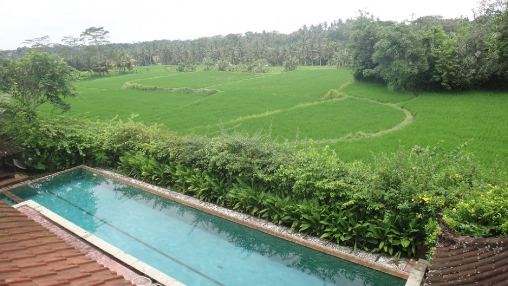 NICE VILLA WITH RICE FILED VIEW