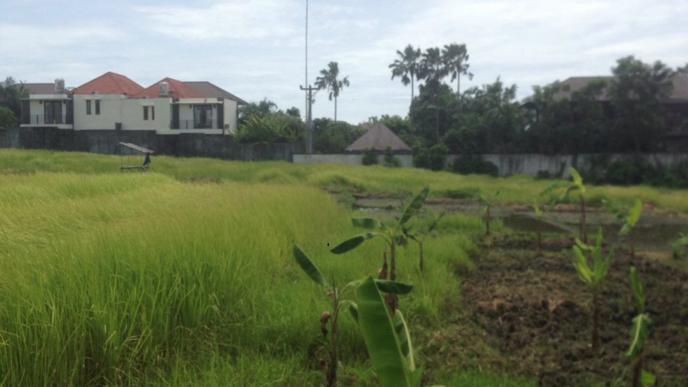 perfect size leasehold land near canggu beach