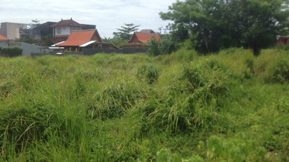 Luas dan cukup lahan berjalan kaki ke pantai canggu