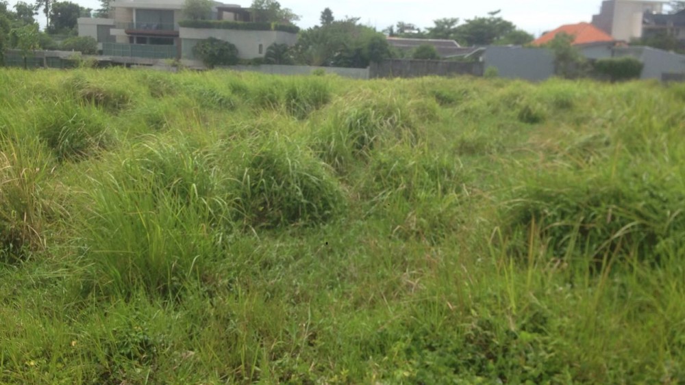 Luas dan cukup lahan berjalan kaki ke pantai canggu