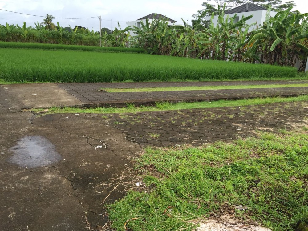 tanah dijual di mainroad Jukutpaku-Singakerta