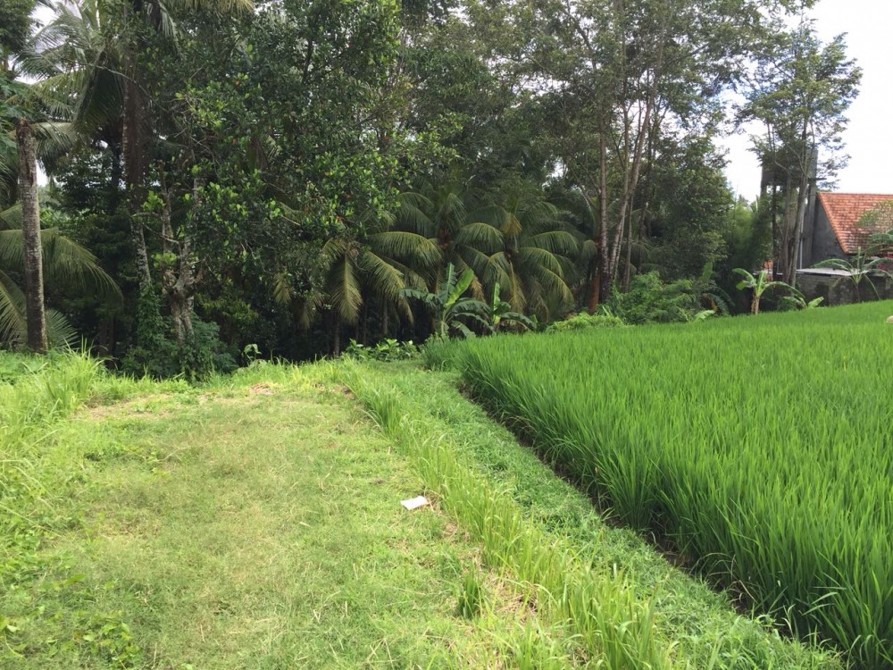 tanah dijual di mainroad Jukutpaku-Singakerta