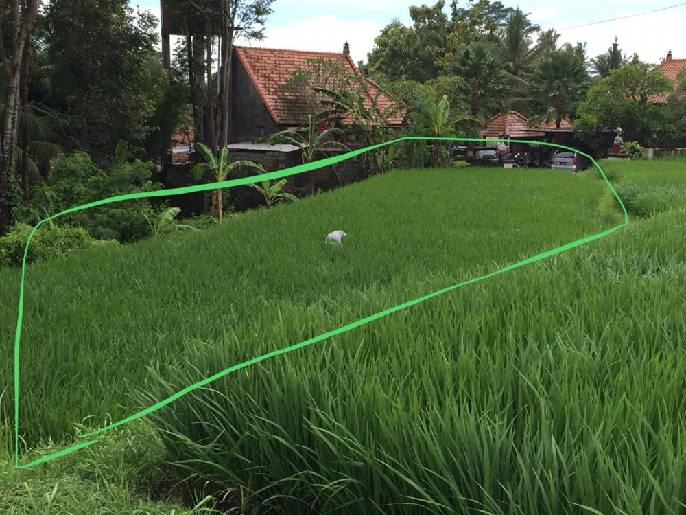 tanah dijual di mainroad Jukutpaku-Singakerta