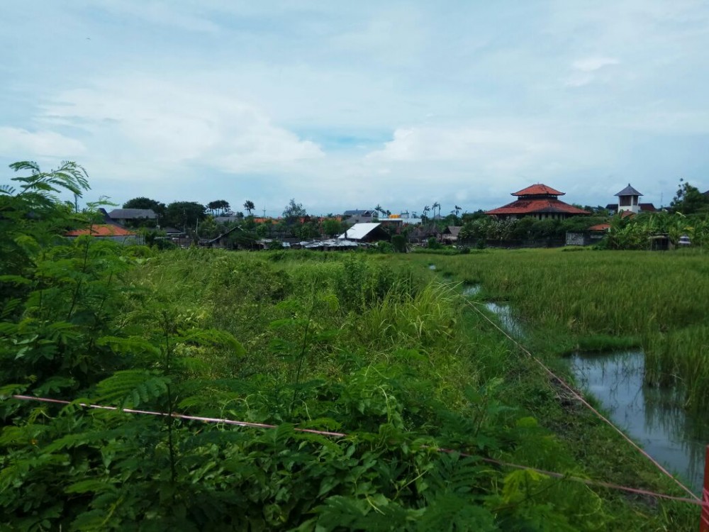 Excellent Long Term Leasehold Property 11.77 Are in Canggu