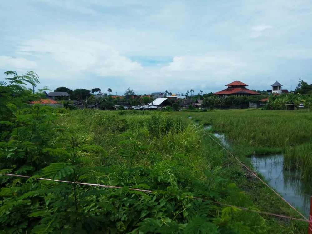 Properti Leasehold Jangka Panjang yang Bagus 11.77 Berada di Canggu