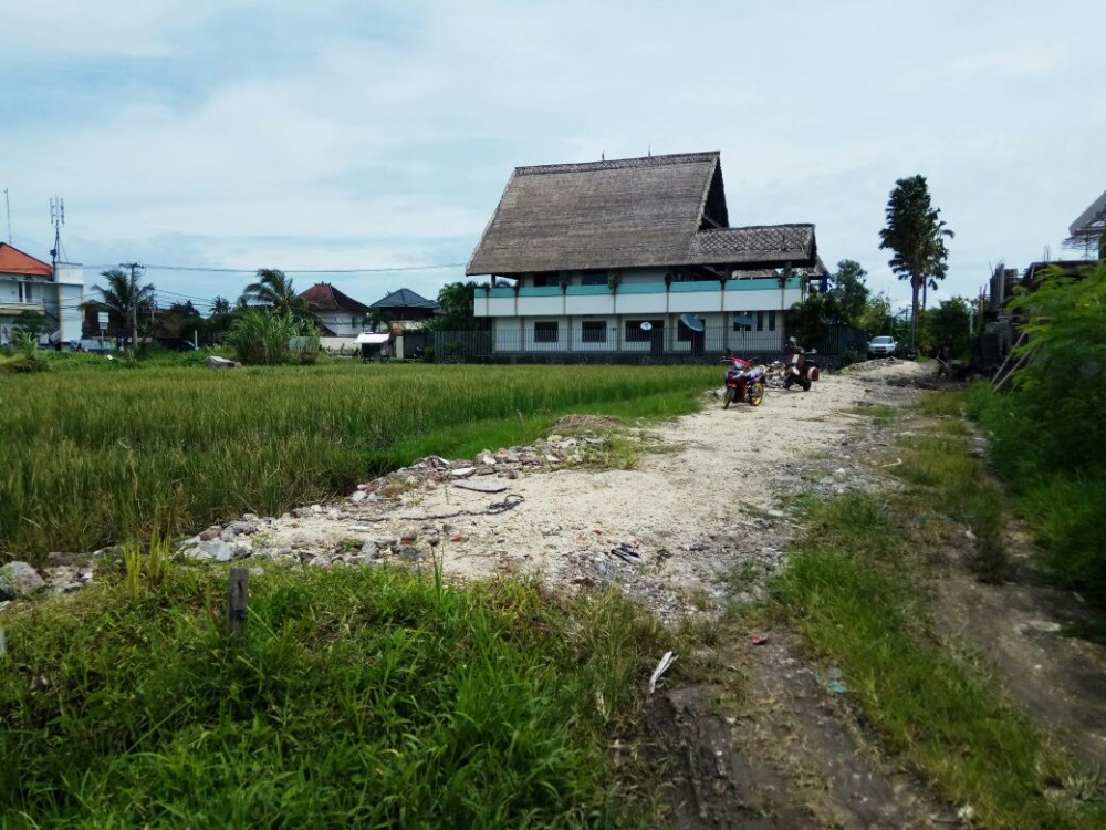 Properti Leasehold Jangka Panjang yang Bagus 11.77 Berada di Canggu