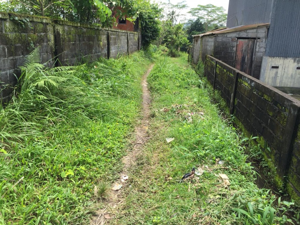 Tanah dijual di Pejeng Kelod dengan pemandangan indah dan dikelilingi sawah