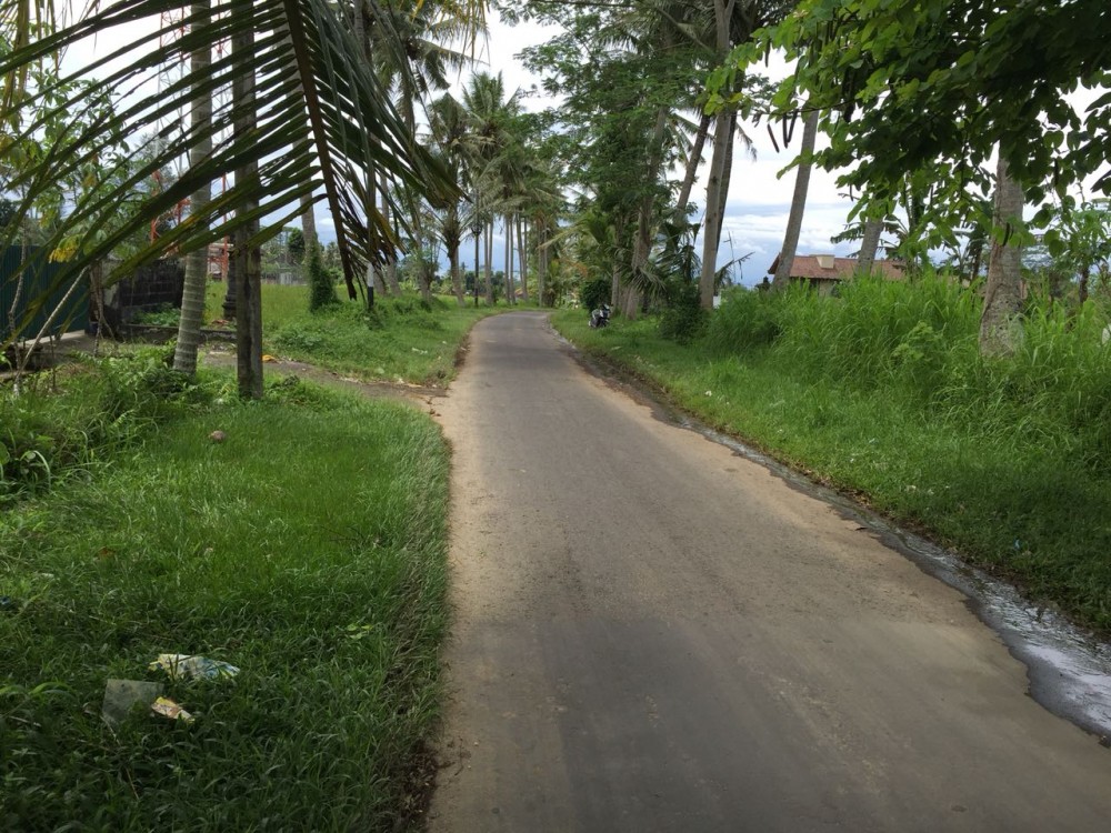 Tanah dijual di Pejeng Kelod dengan pemandangan indah dan dikelilingi sawah