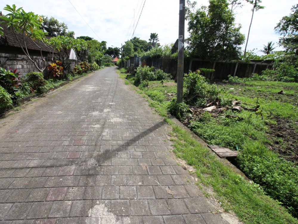Luxurious Five Bedrooms Freehold Villa for Sale in Canggu