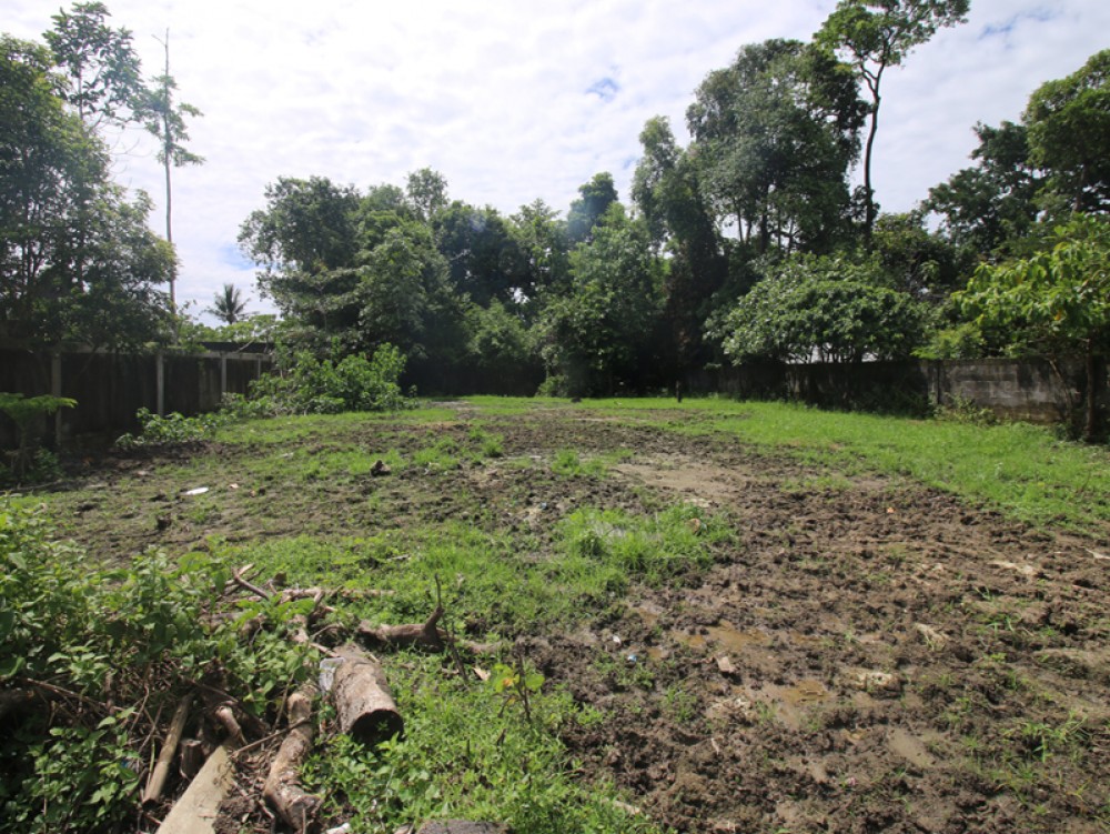 Great shaped freehold land in Pererenan