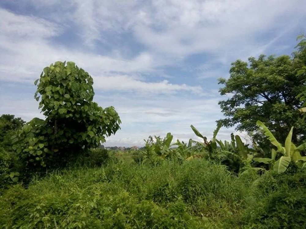 Perfect land for Villa in Canggu