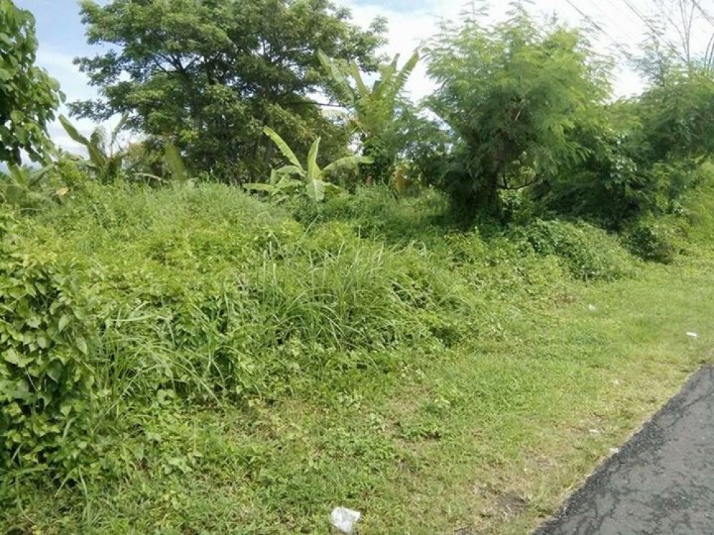Perfect land for Villa in Canggu
