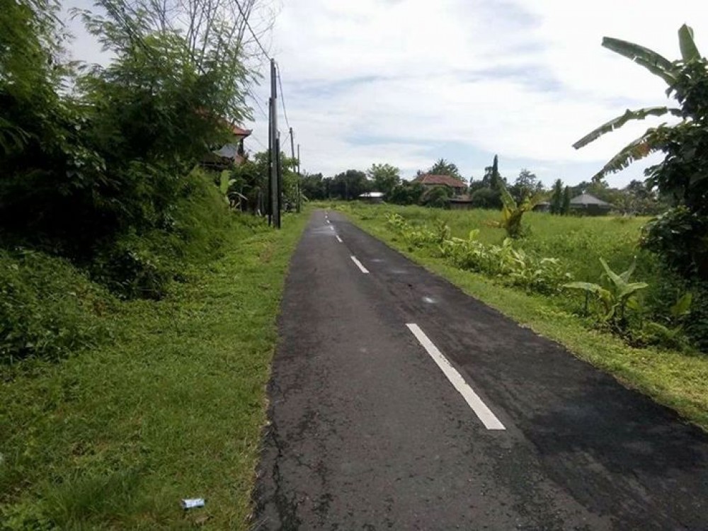 Perfect land for Villa in Canggu