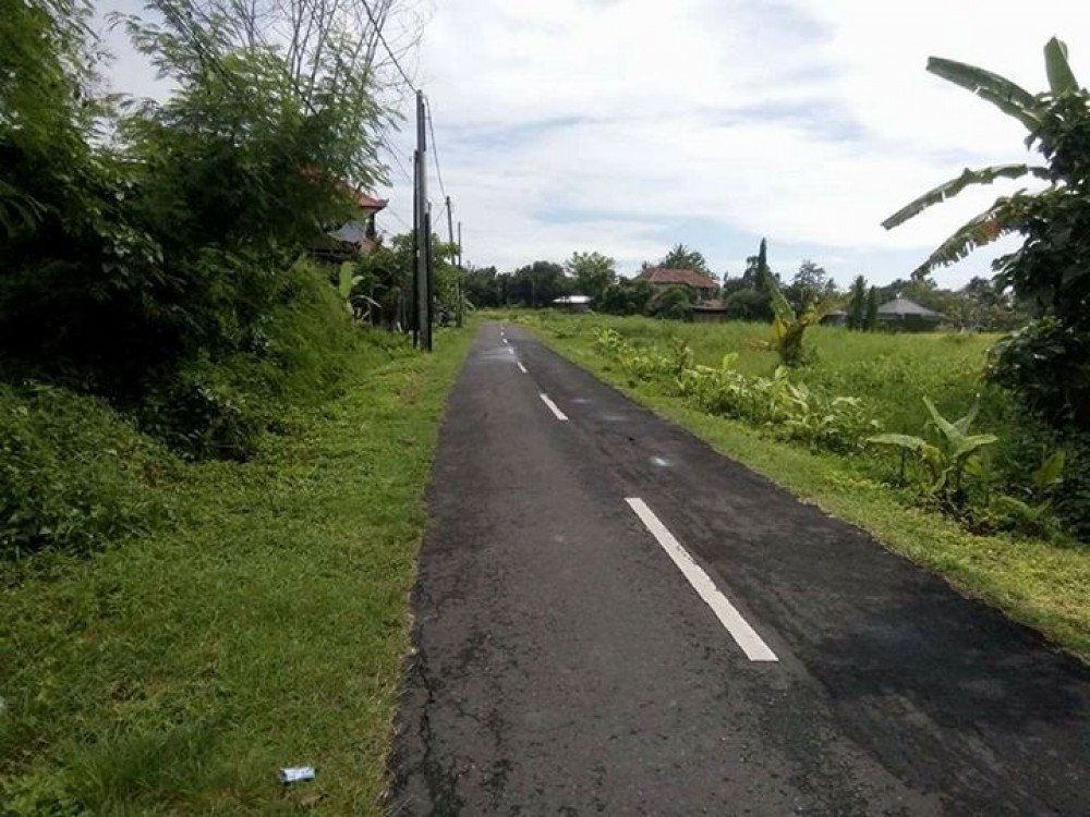 Tanah yang sempurna untuk Villa di Canggu