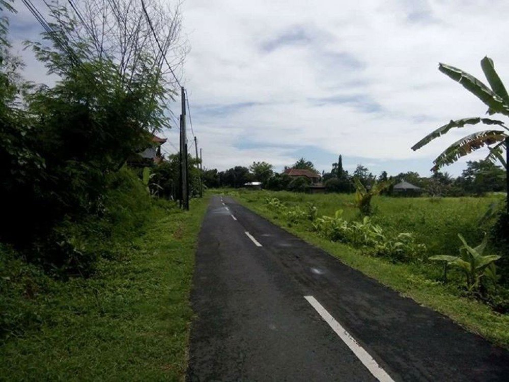 Tanah yang sempurna untuk Villa di Canggu