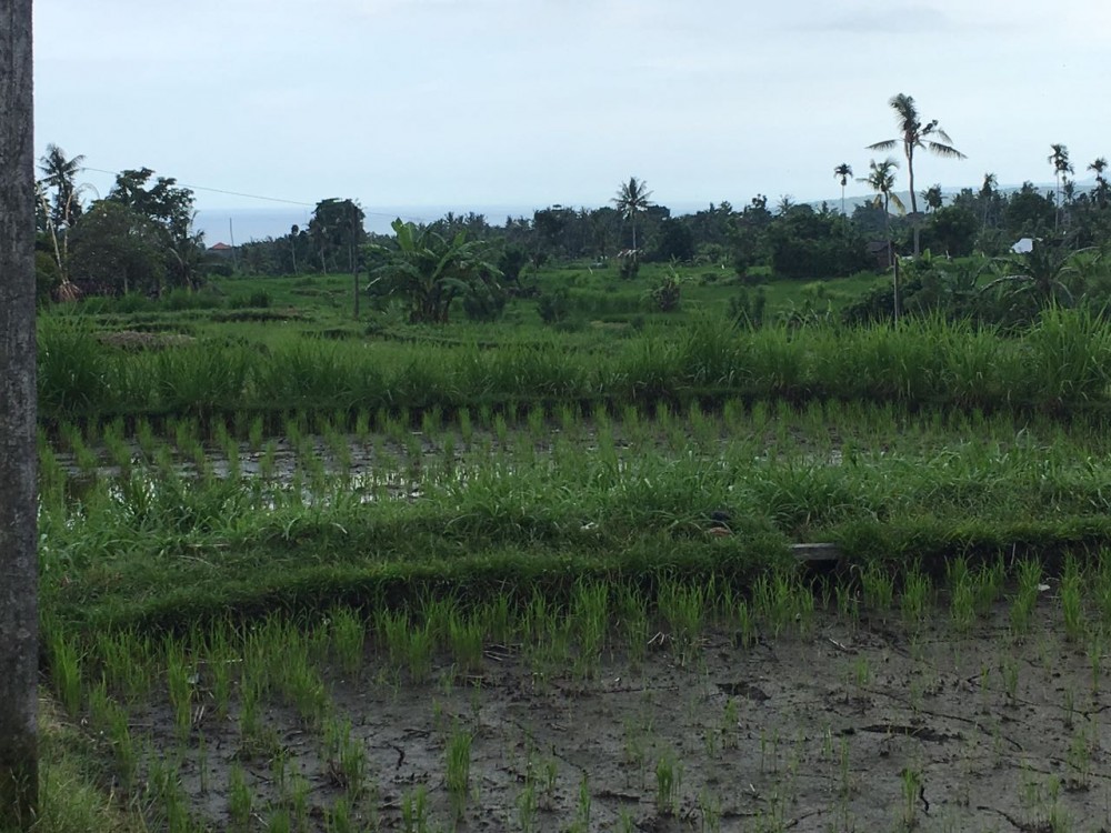 Freehold land in Padang Kerta-Karangasem 