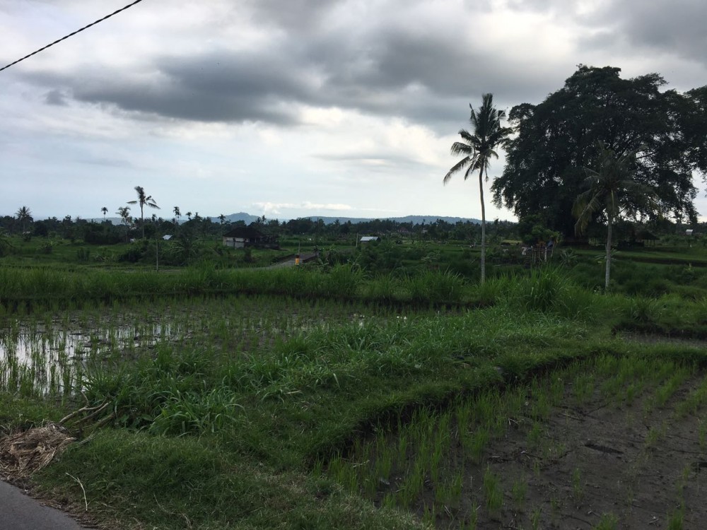 Freehold land in Padang Kerta-Karangasem 
