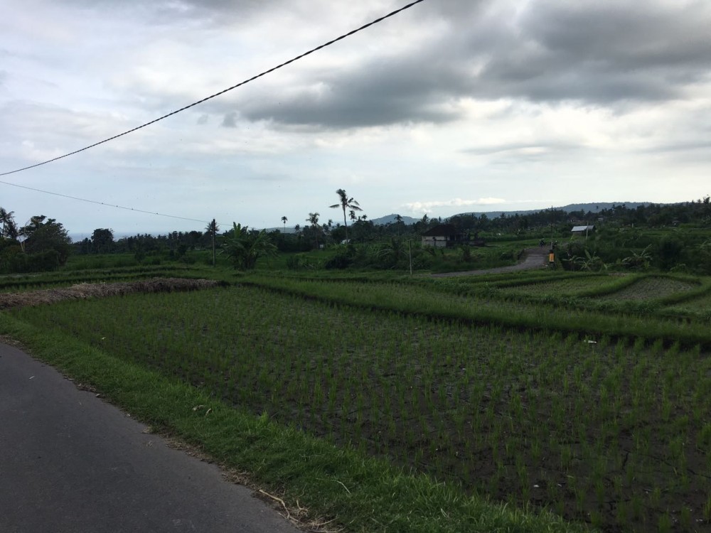 Terrain en toute propriété à Padang Kerta-Karangasem