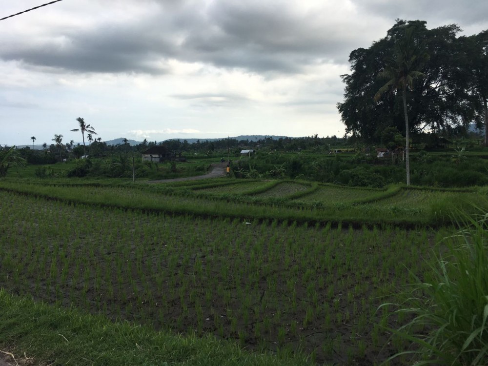 Freehold land in Padang Kerta-Karangasem 