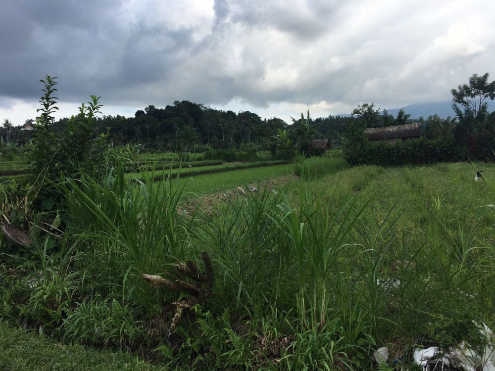 Freehold land in Padang Kerta-Karangasem 