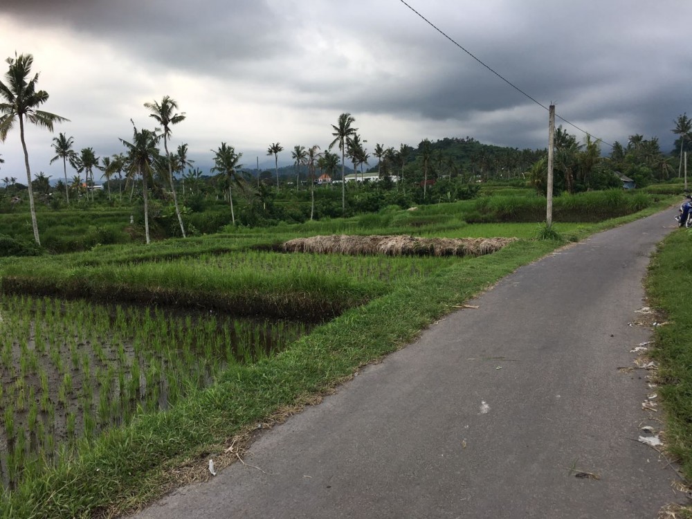 Freehold land in Padang Kerta-Karangasem 