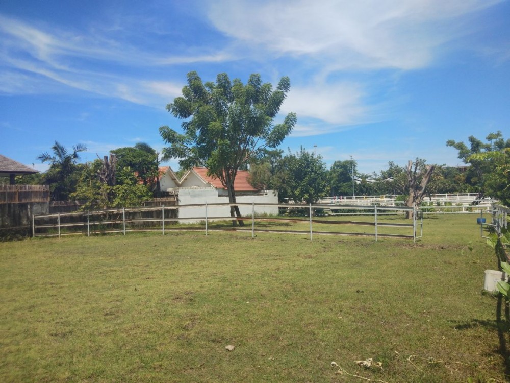 Sebidang tanah persewaan besar di Canggu