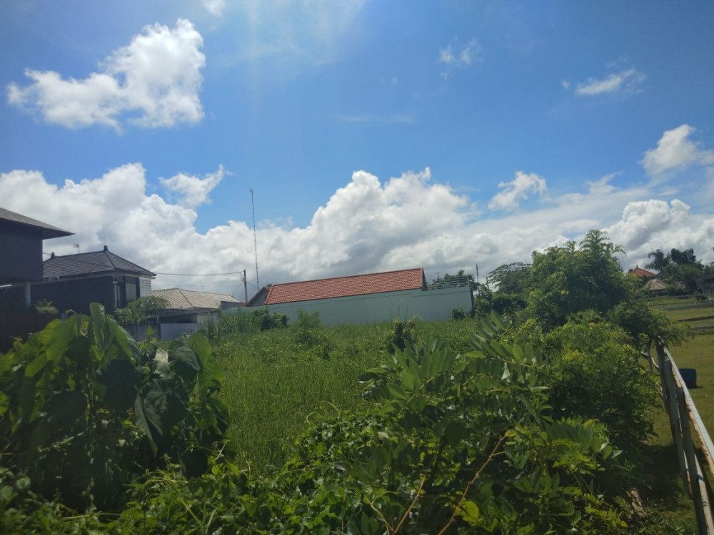 Great leasehold plot of land in Canggu