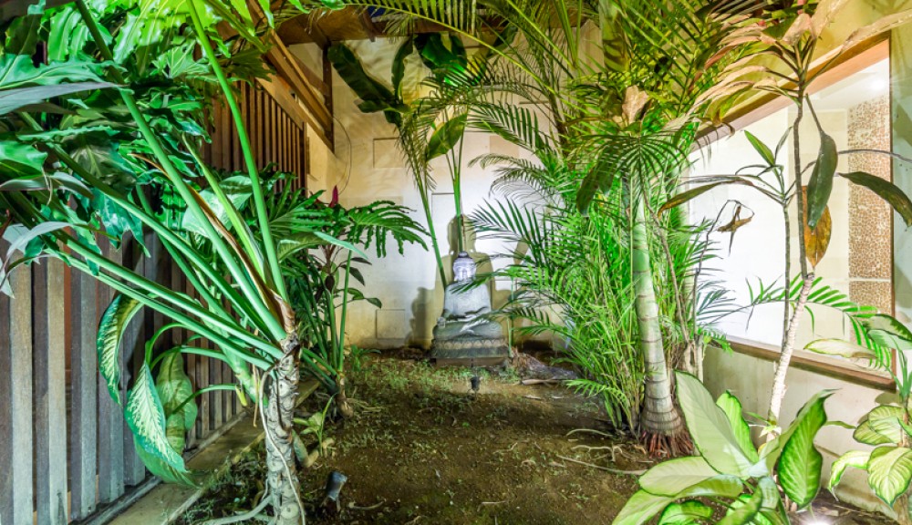 Freehold Charming 2 Villas for Sale on Same Land