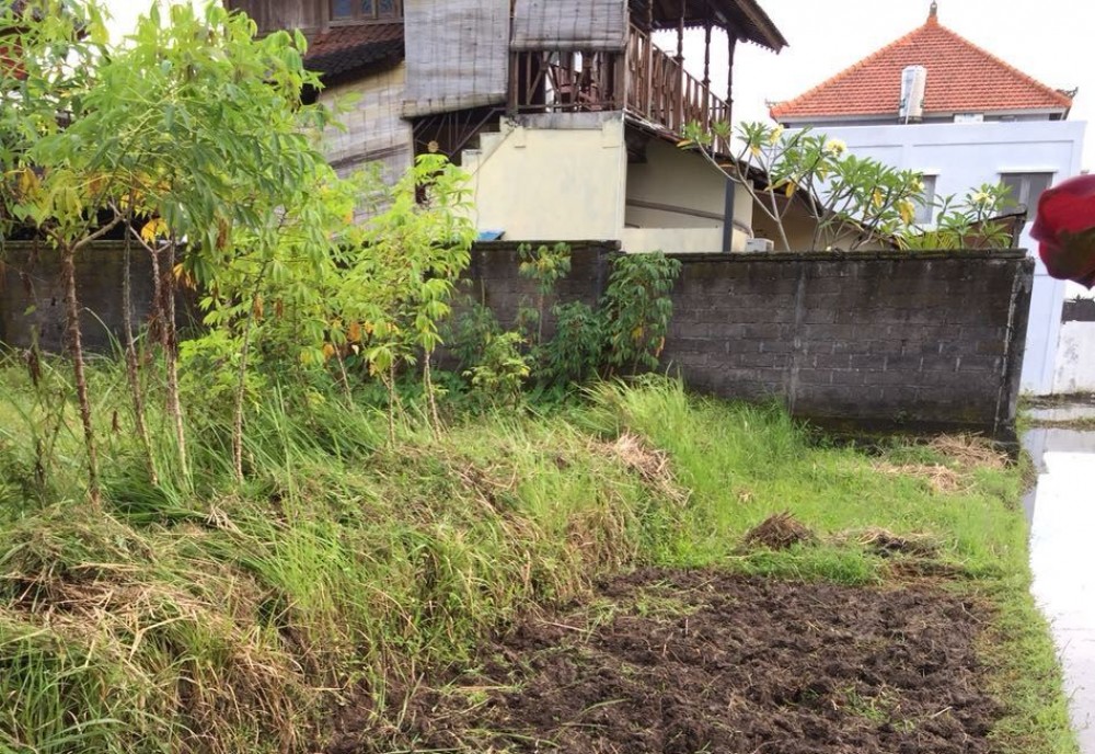 Terrain de riz à louer à Petulu-Ubud