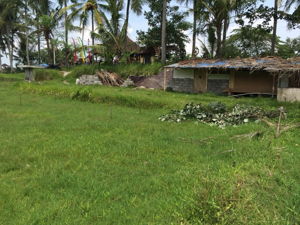 Belle vue sur la rizière et la jungle à louer à sok wayah-ubud
