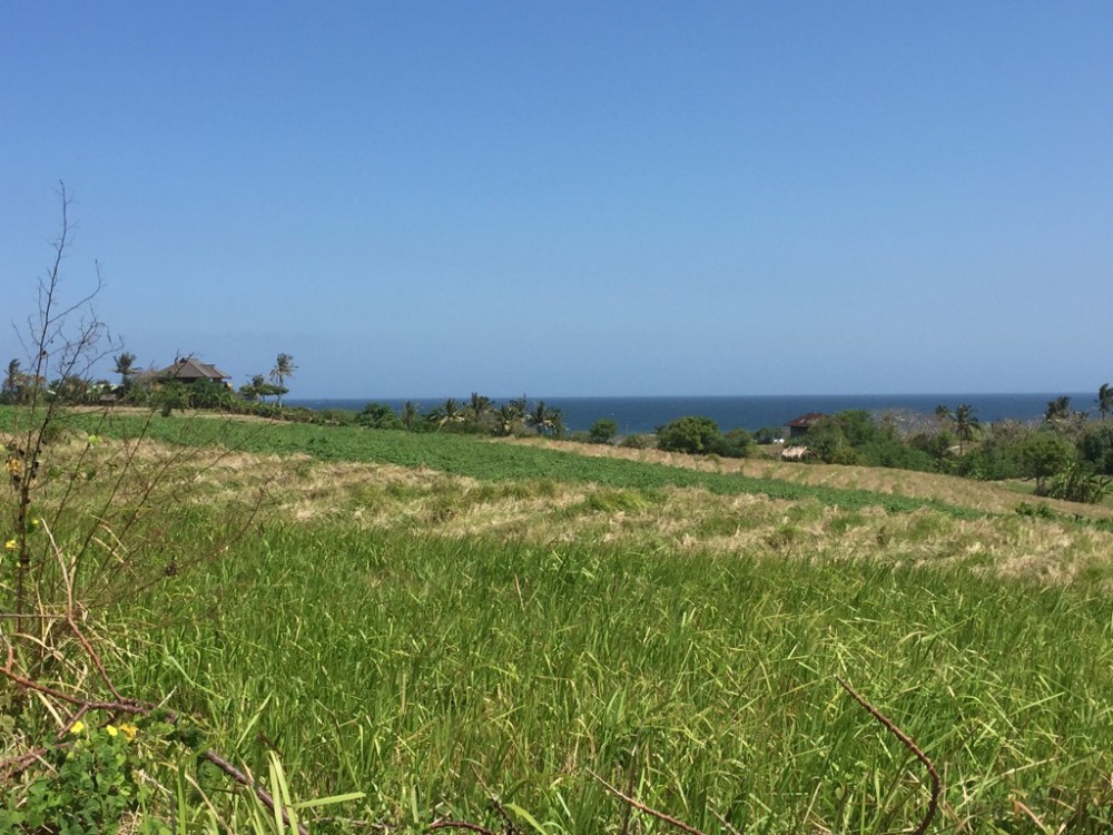 Ocean View 28 Are Freehold Plot for Sale in Tabanan - Reduced Price